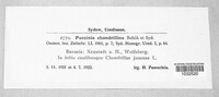 Image Associated With the Occurence